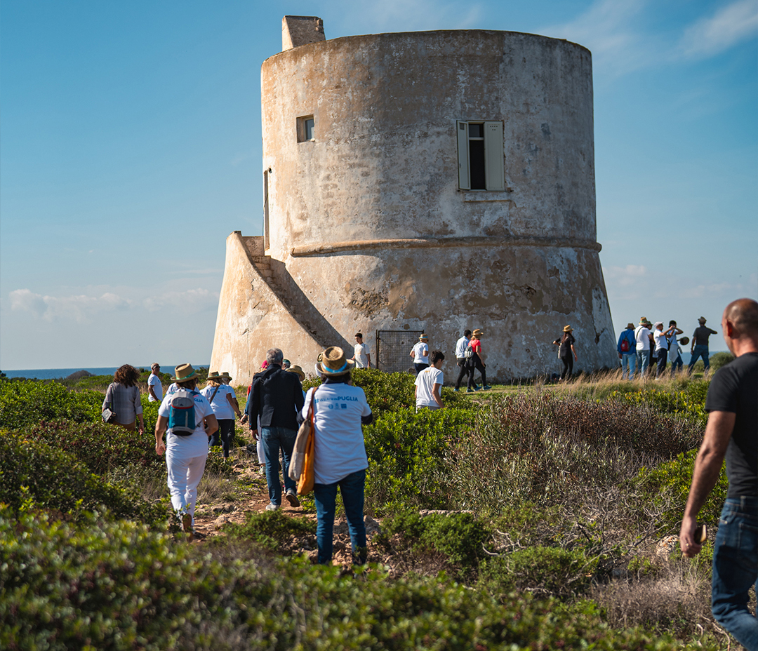 Veduta aerea di Castel del Monte circondato da una pineta